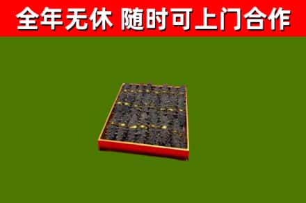 乐至烟酒回收海参.jpg